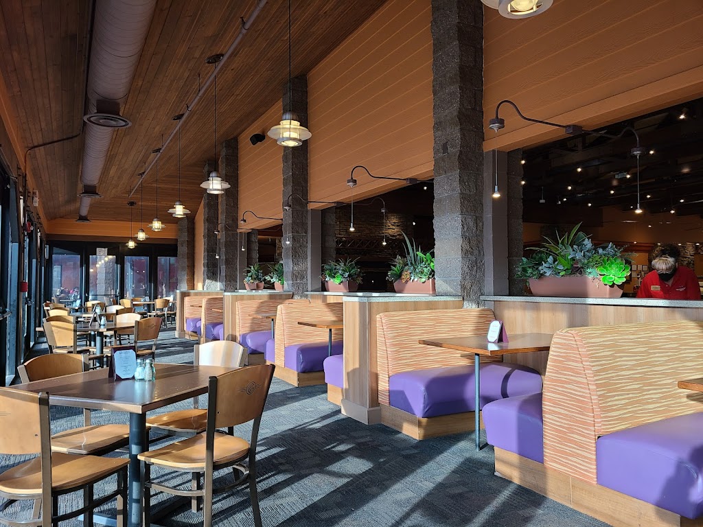 The Fred Harvey Tavern | restaurant | 233 N Grand Canyon Blvd, Williams, AZ 86046, USA | 9286354010 OR +1 928-635-4010