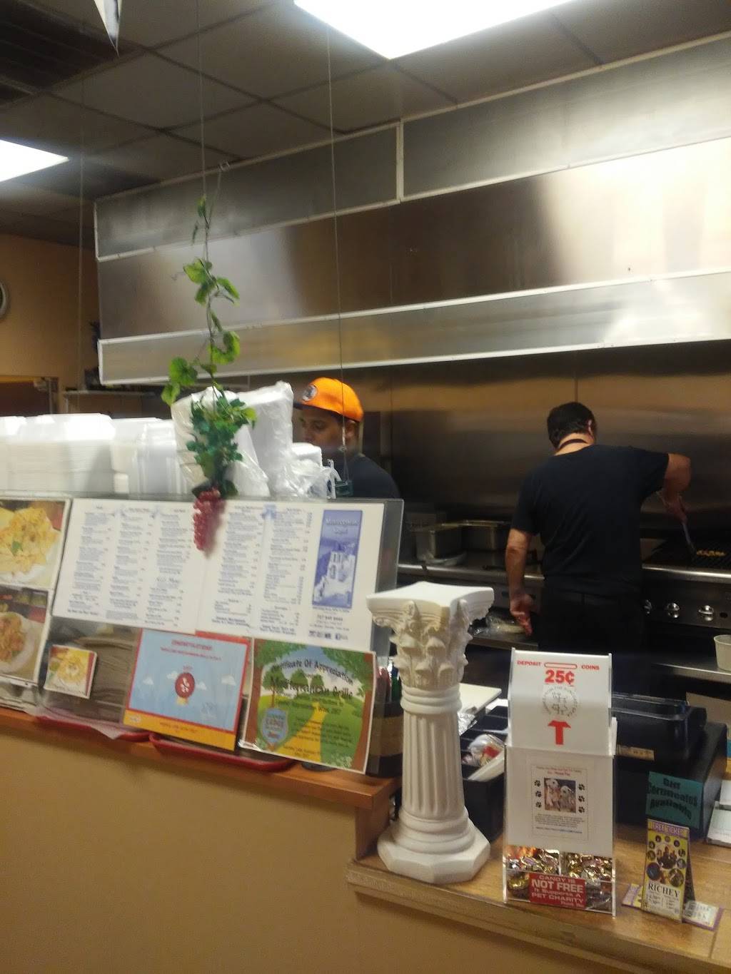 Mediterranean Grille | restaurant | 8536 Ridge Rd, New Port Richey, FL 34654, USA | 7278458444 OR +1 727-845-8444