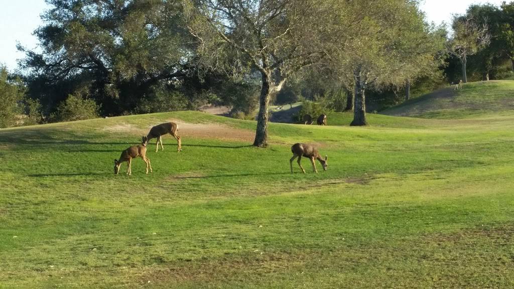 Tijeras Creek Golf Club | restaurant | 29082 Tijeras Creek, Rancho Santa Margarita, CA 92688, USA | 9495899793 OR +1 949-589-9793