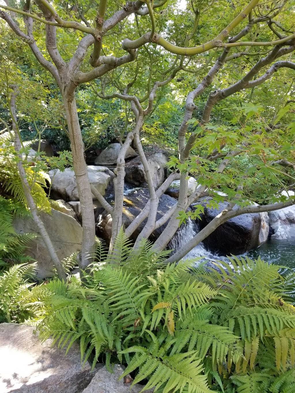 European Food Lovers | restaurant | 1250 N Bellflower Blvd, Long Beach, CA 90840, USA | 5627041374 OR +1 562-704-1374