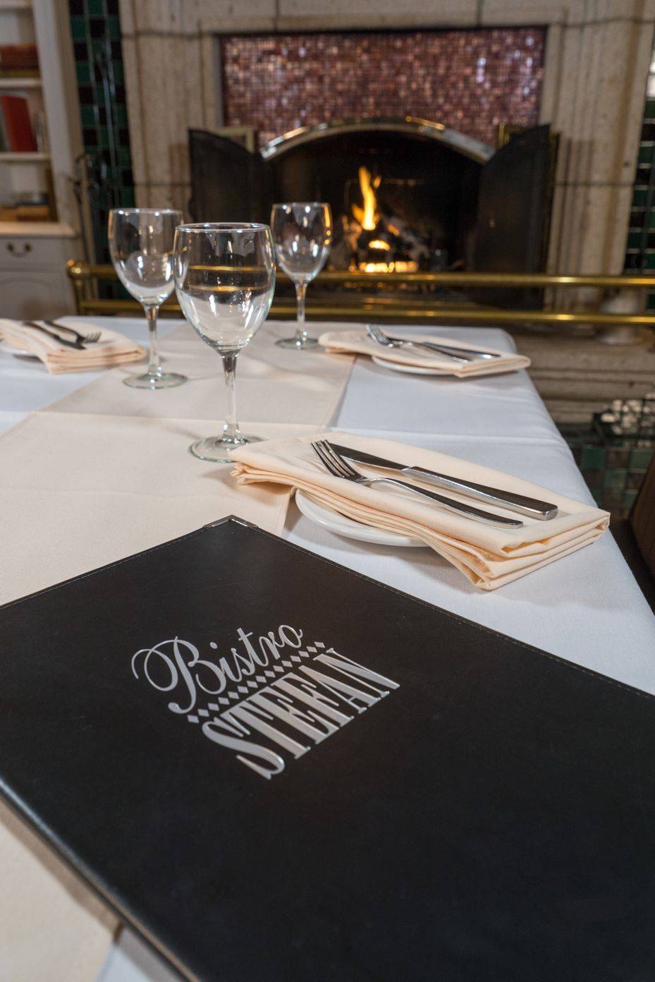 Bistro Stefan | restaurant | 1217 Princess St, Kingston, ON K7M 3E1, Canada | 6135492211 OR +1 613-549-2211