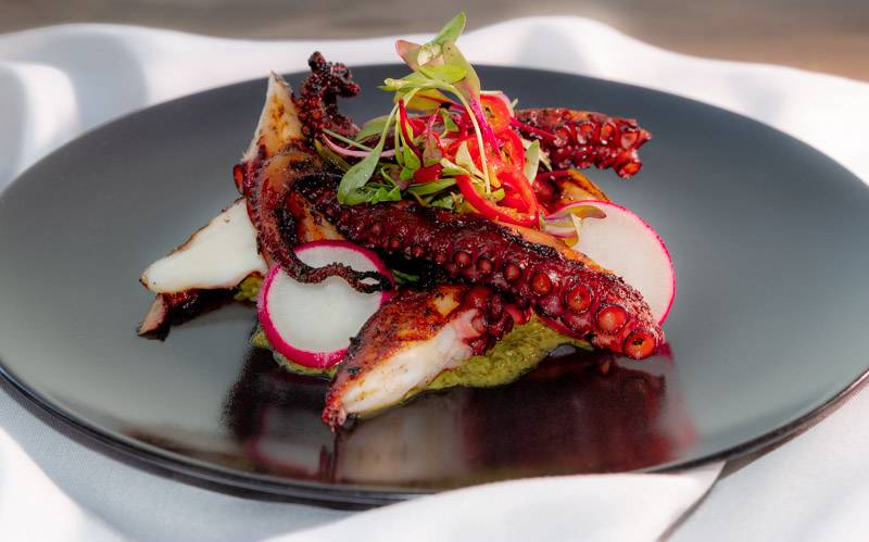 The Palms | restaurant | 115 N Santa Cruz Ave, Los Gatos, CA 95030, USA | 4084023811 OR +1 408-402-3811