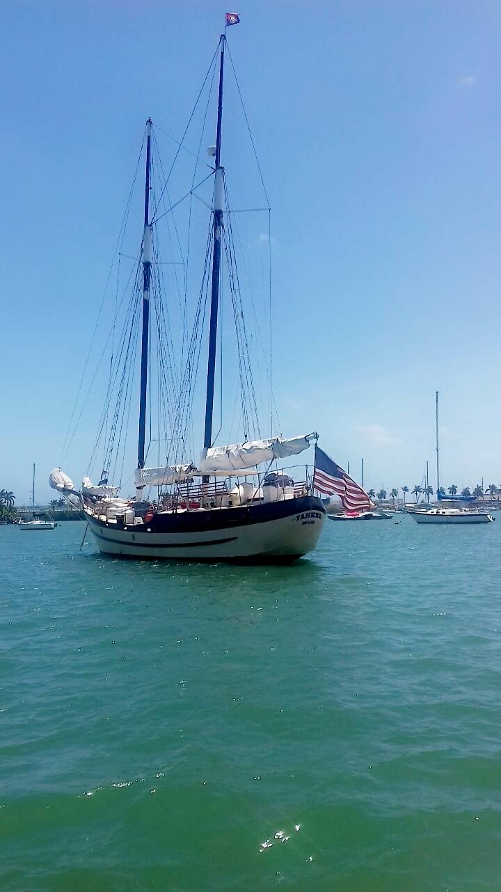 Masters Pizza Pasta & Grill | meal delivery | 1720 Alton Rd, Miami Beach, FL 33139, USA | 3056722763 OR +1 305-672-2763