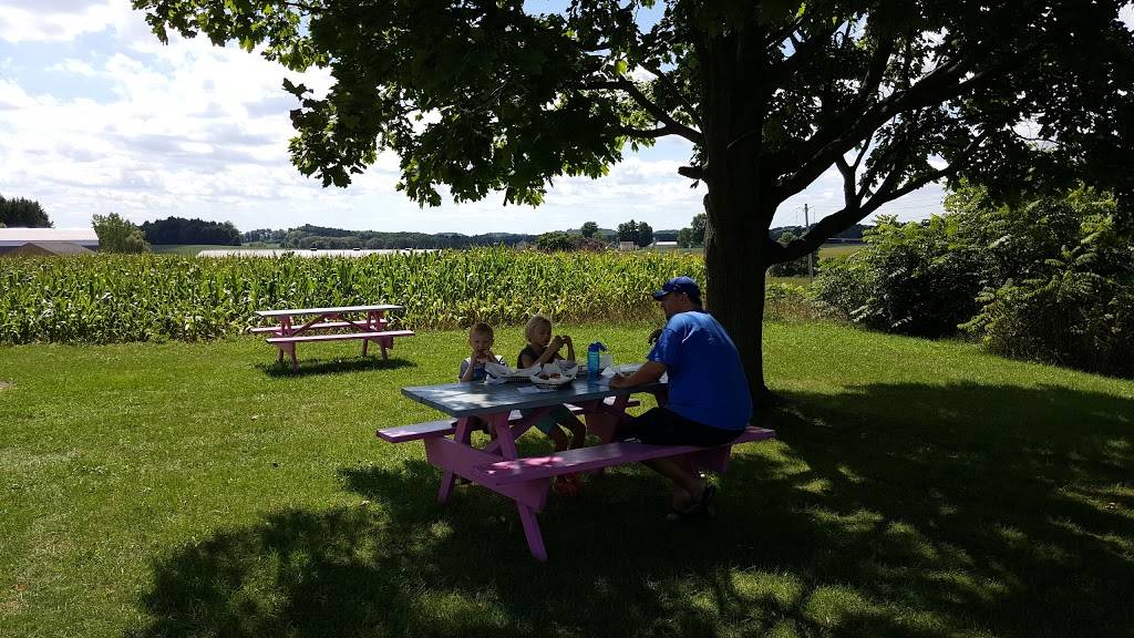 Happy Days Drive In | restaurant | 3022 NY-370, Meridian, NY 13113, USA | 3156262943 OR +1 315-626-2943