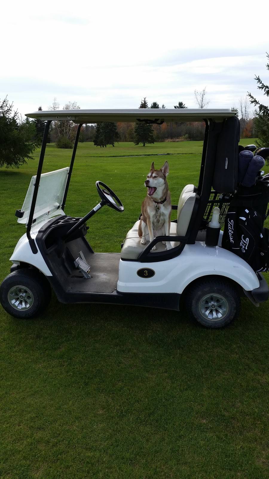 L a Golf Club, Pizza Restaurant | restaurant | 39711 NY-180, Clayton, NY 13624, USA | 3156863748 OR +1 315-686-3748