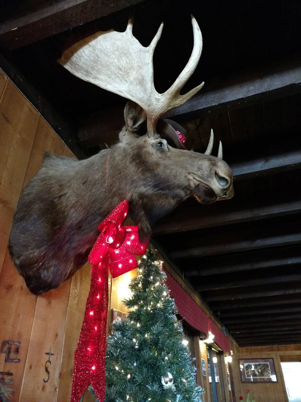 The Cow Palace | restaurant | 28802 S Nogales Hwy, Amado, AZ 85645, USA | 5203988000 OR +1 520-398-8000