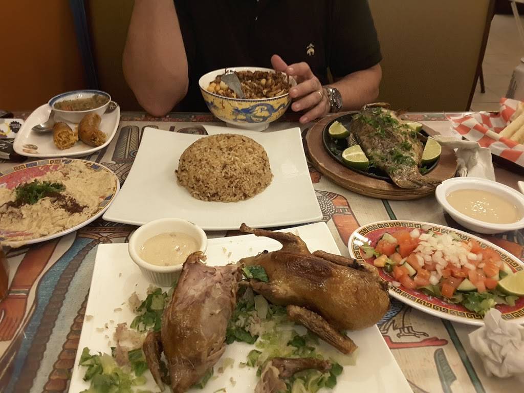 King Of Koshary | restaurant | 5515 Wilson Blvd, Arlington, VA 22205, USA | 5713177925 OR +1 571-317-7925