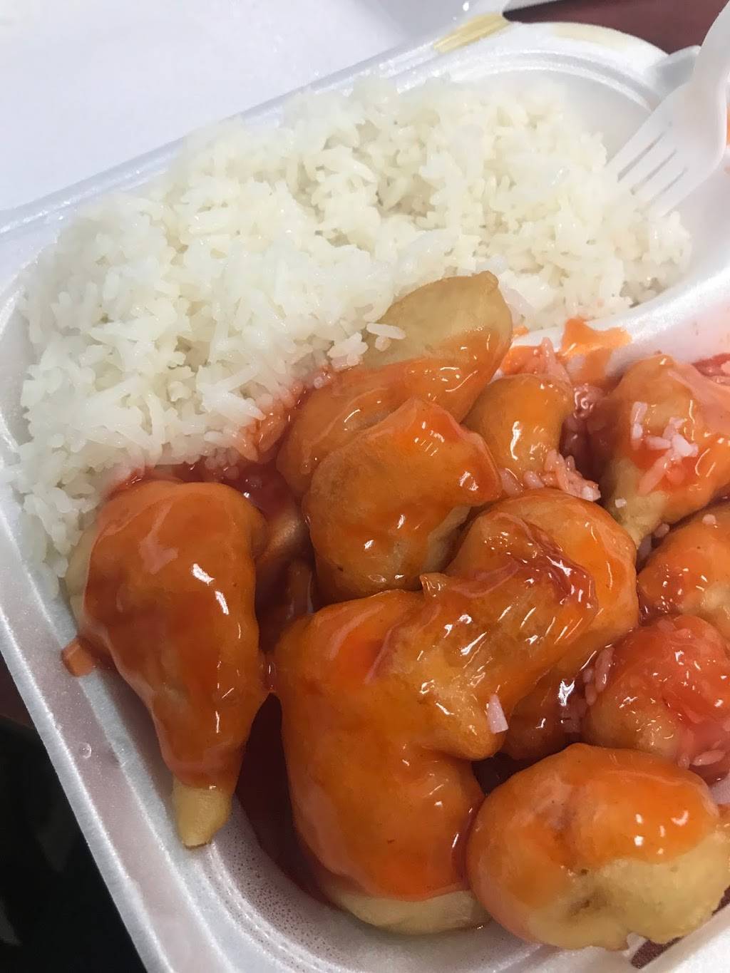 China Star | restaurant | 2730 Davie Blvd, Fort Lauderdale, FL 33312, USA | 9545879989 OR +1 954-587-9989