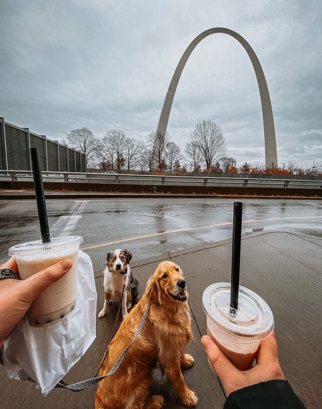 Cafe de Blaire | cafe | 442 N 4th St, St. Louis, MO 63102, USA | 3147377701 OR +1 314-737-7701