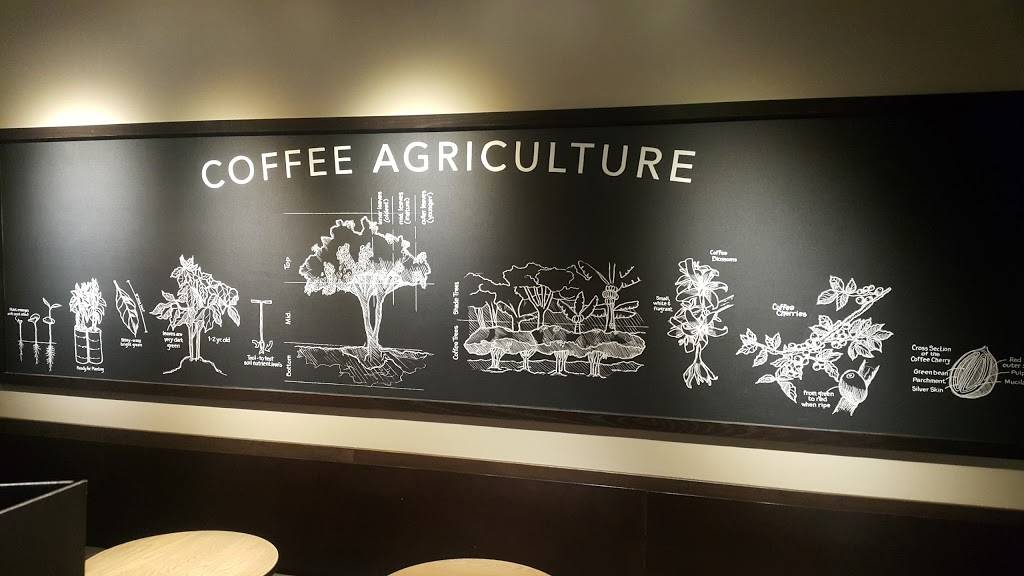 Starbucks | cafe | 65 NJ-4 West, Paramus, NJ 07652, USA | 2018434582 OR +1 201-843-4582