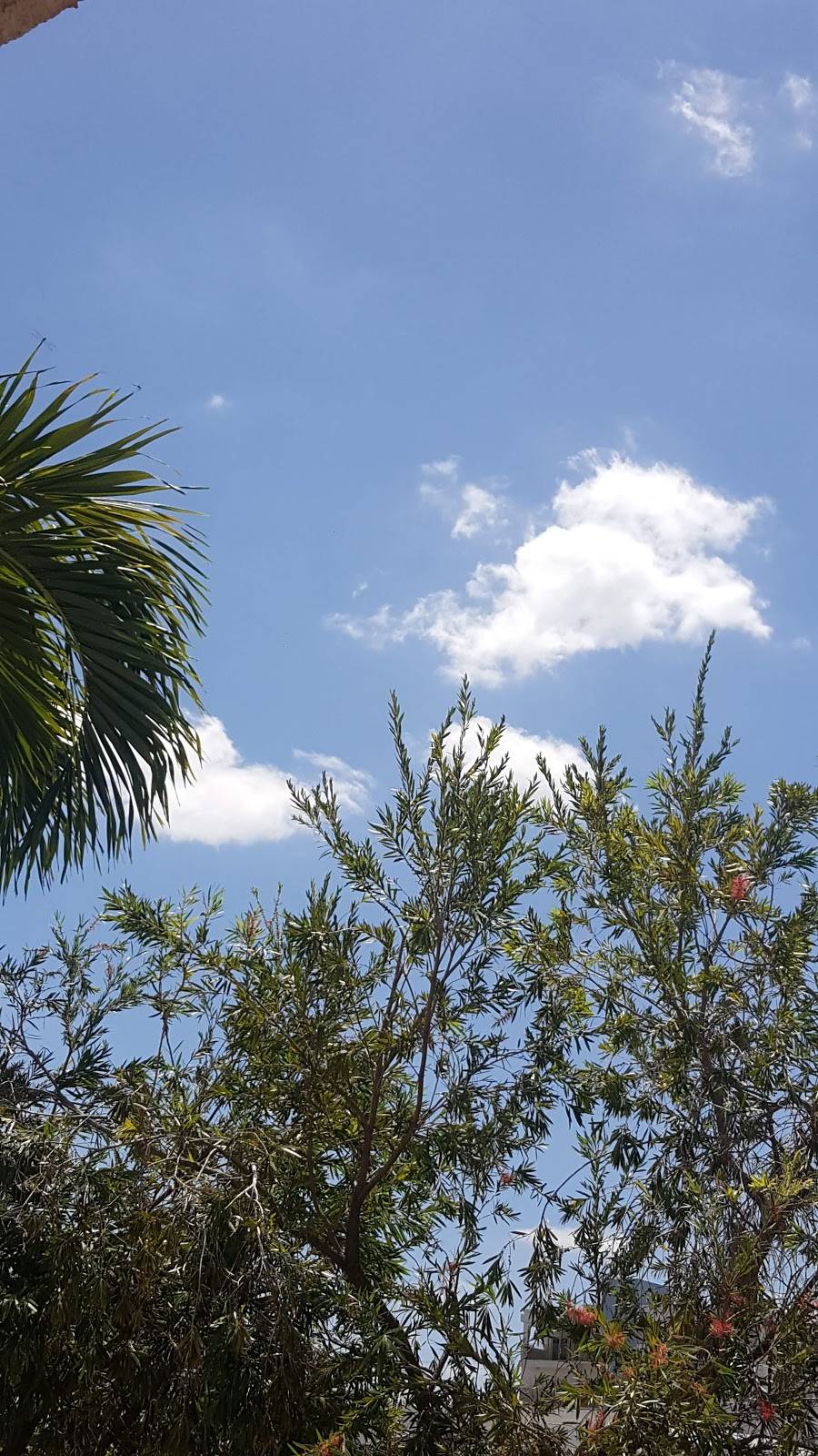 The Plaza Bistro | restaurant | 619 Breakers Ave, Fort Lauderdale, FL 33304, USA | 9549009806 OR +1 954-900-9806