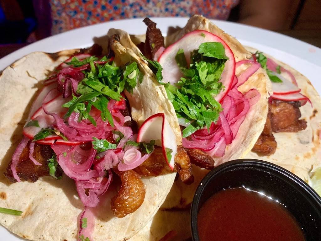 Casa Maya Grill | restaurant | 301 SE 15th Terrace, Deerfield Beach, FL 33441, USA | 9545706101 OR +1 954-570-6101