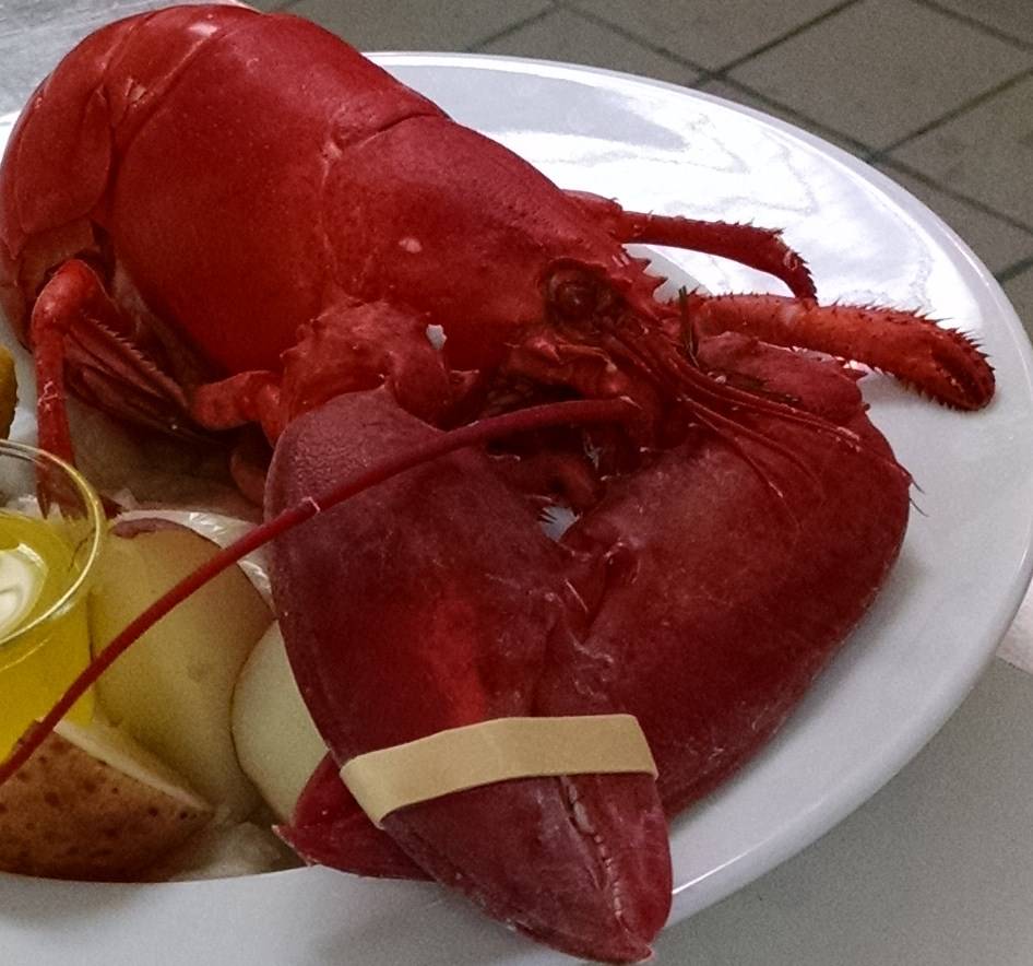 Beyond the Bull | restaurant | 8095 Keowee School Rd, Seneca, SC 29672, USA | 8645081254 OR +1 864-508-1254