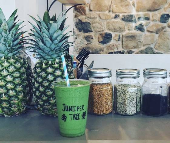 Juniper Tree Juice Bar and Wellness | cafe | 221 Pottstown Pike, Chester Springs, PA 19425, USA | 6106139941 OR +1 610-613-9941