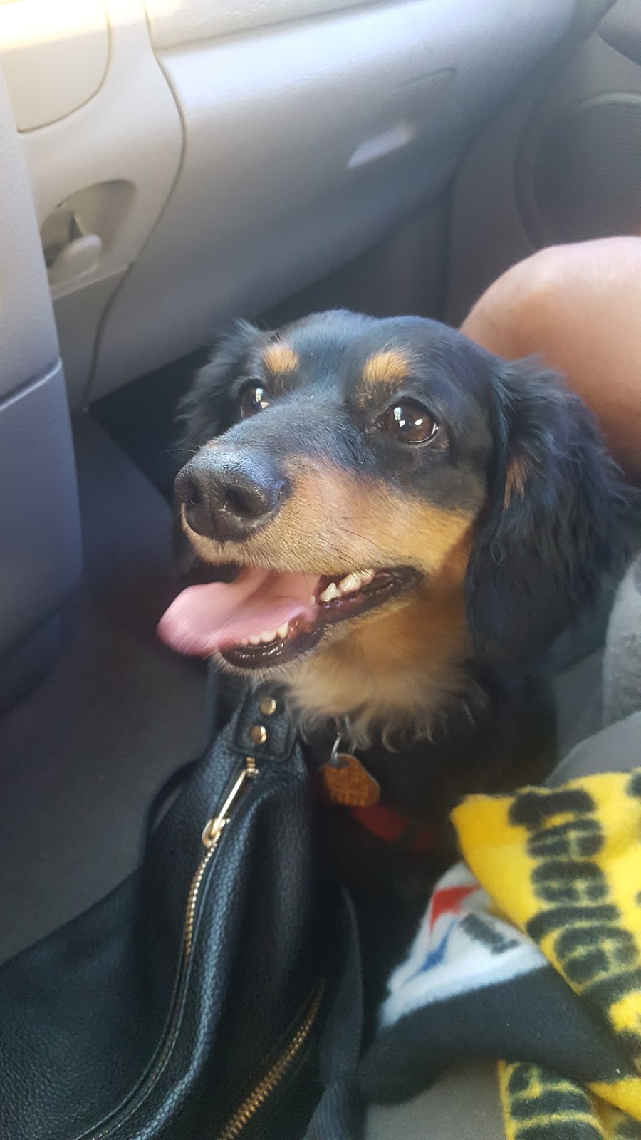 Captain Ds - Permanently Closed | restaurant | 2753 McIngvale Rd, Hernando, MS 38632, USA | 6624297703 OR +1 662-429-7703