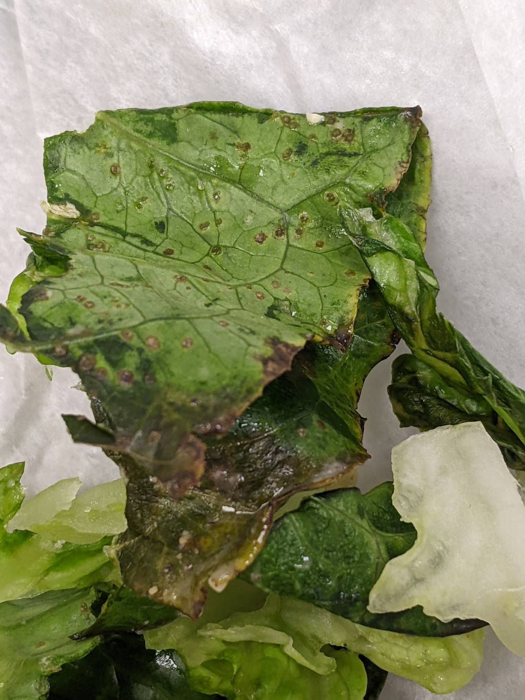 Crazy Bowls & Wraps - NOW OPEN! | restaurant | 1570 Wentzville Pkwy Ste 101, Wentzville, MO 63385, USA | 6363234779 OR +1 636-323-4779