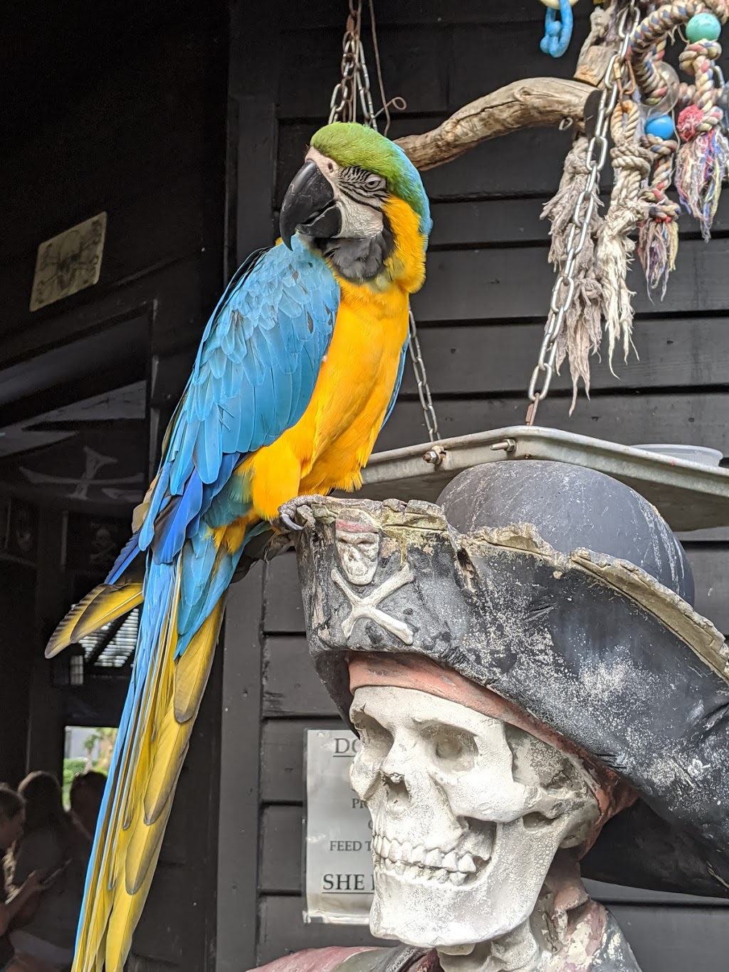 Pirate Republic Seafood Restaurant | restaurant | 400 SW 3rd Ave, Fort Lauderdale, FL 33315, USA | 9547613500 OR +1 954-761-3500