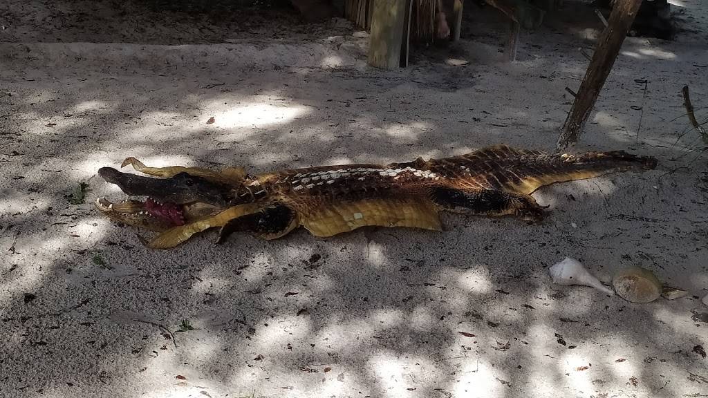 Boggy Bottom Barbecue | restaurant | 2001 E Southport Rd, Kissimmee, FL 34746, USA | 4072795050 OR +1 407-279-5050