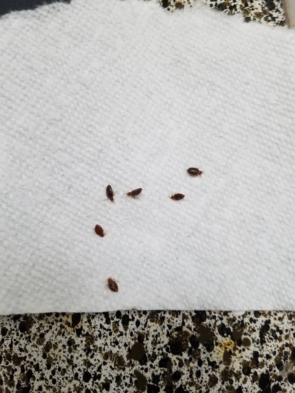 The Vineyards at the Ranch |  | 9350 Skillman St, Dallas, TX 75243, USA | 2143419591 OR +1 214-341-9591