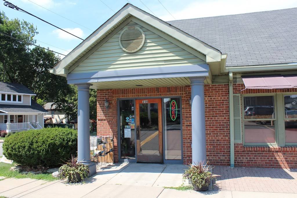 New Bangkok Cuisine | restaurant | 250 N Center St, Northville, MI 48167, USA | 2483447808 OR +1 248-344-7808