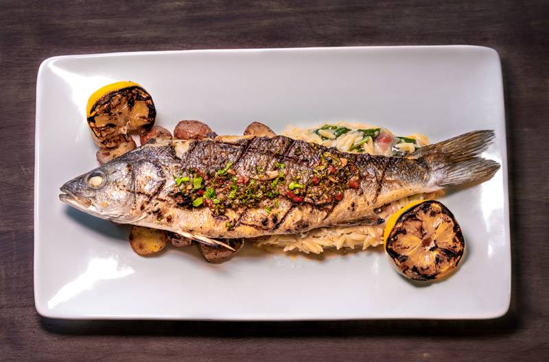 The Palms | restaurant | 115 N Santa Cruz Ave, Los Gatos, CA 95030, USA | 4084023811 OR +1 408-402-3811