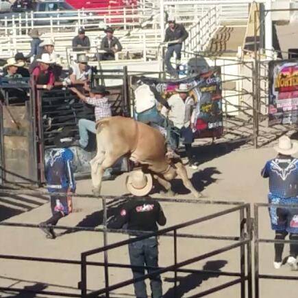 Jimmy Johns | meal delivery | 12064 S Cicero Ave, Alsip, IL 60803, USA | 7083856666 OR +1 708-385-6666