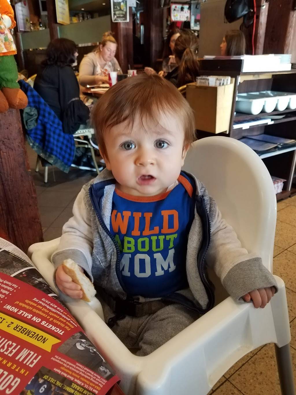 Amalfi | restaurant | 49 Old Shore Rd, Port Washington, NY 11050, USA | 5168834191 OR +1 516-883-4191