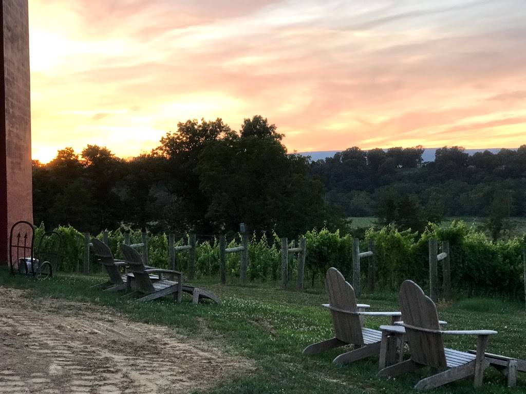 Muse Vineyards | restaurant | 16 Serendipity Ln, Woodstock, VA 22664, USA | 5404597033 OR +1 540-459-7033