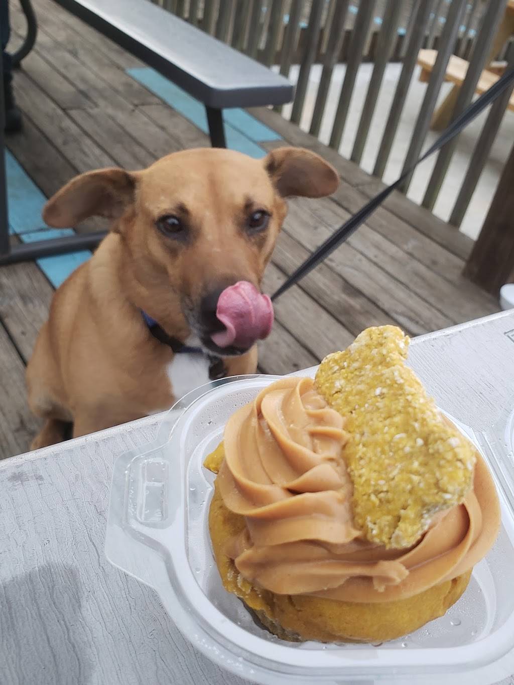 The Sneaky Beagle | restaurant | 5040 Carolina Forest Blvd, Myrtle Beach, SC 29579, USA | 8439037877 OR +1 843-903-7877