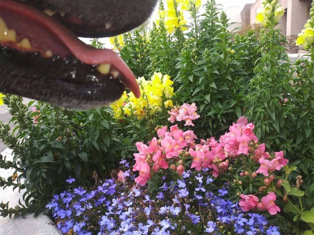 Wendys | restaurant | 3643 N Campbell Ave, Tucson, AZ 85719, USA | 5203198139 OR +1 520-319-8139