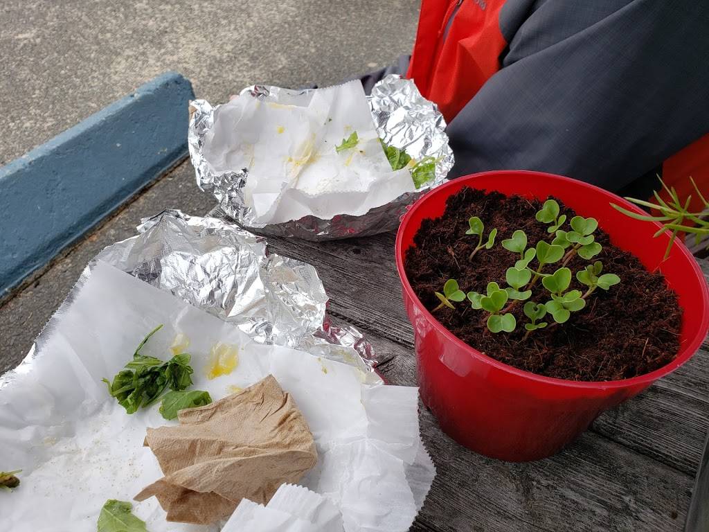 The Blue Willow Fine Foods and Bakery | bakery | 1426 US-6, Wellfleet, MA 02667, USA | 5083490900 OR +1 508-349-0900