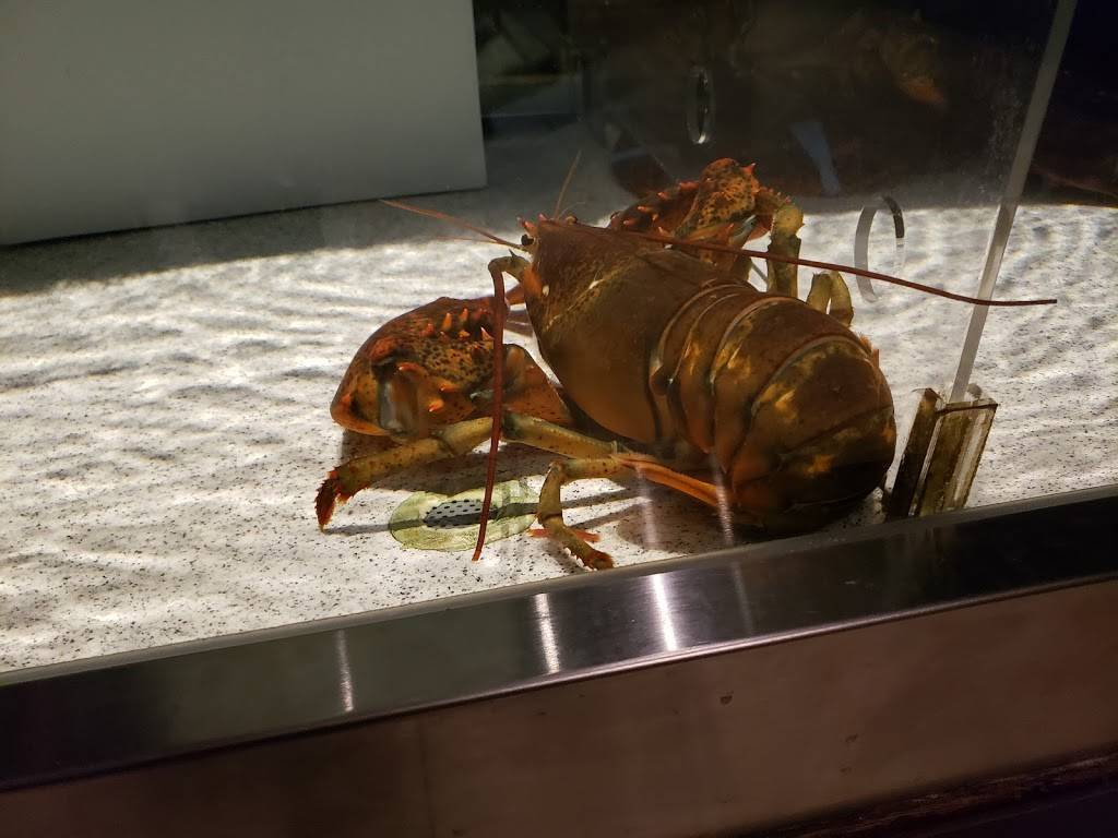 Red Lobster | restaurant | 1261 S 800 E, Orem, UT 84097, USA | 8017243500 OR +1 801-724-3500