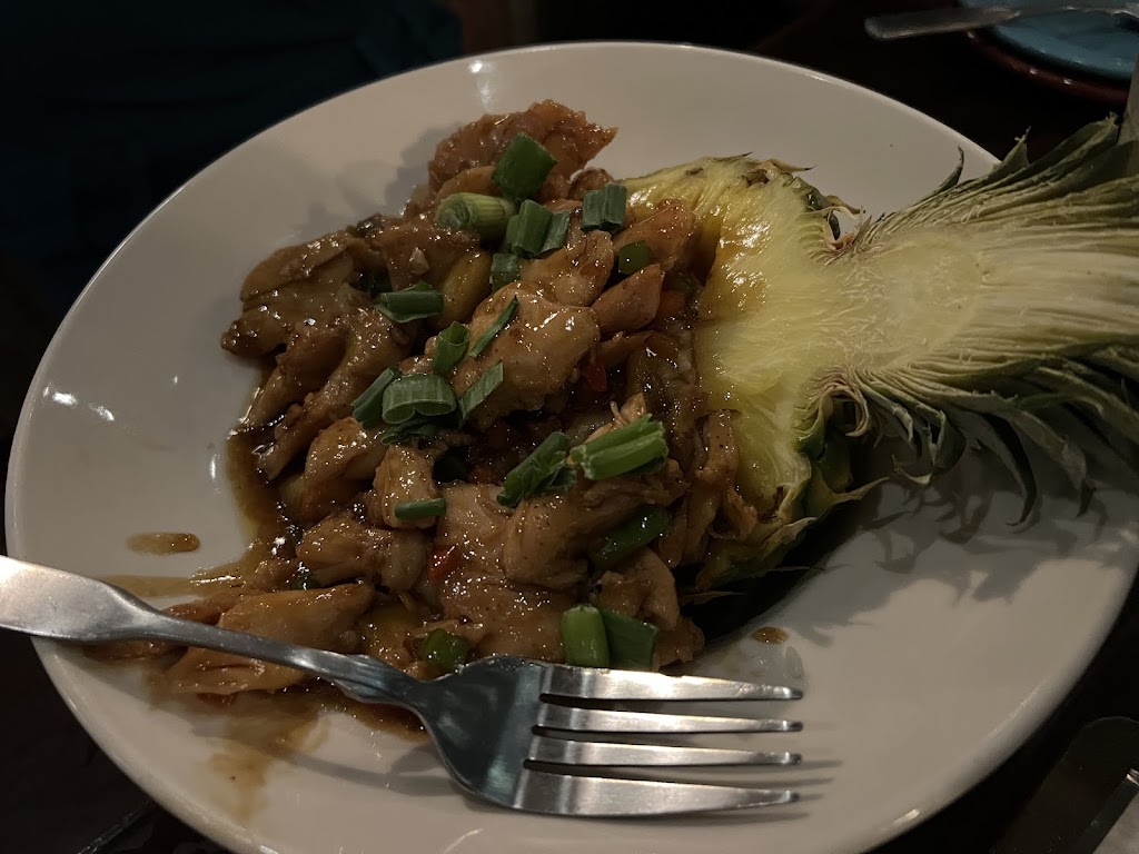 Payals Kitchen Craft | meal takeaway | 4315 Fox Ridge Dr, Weston, FL 33331, USA | 4695004939 OR +1 469-500-4939