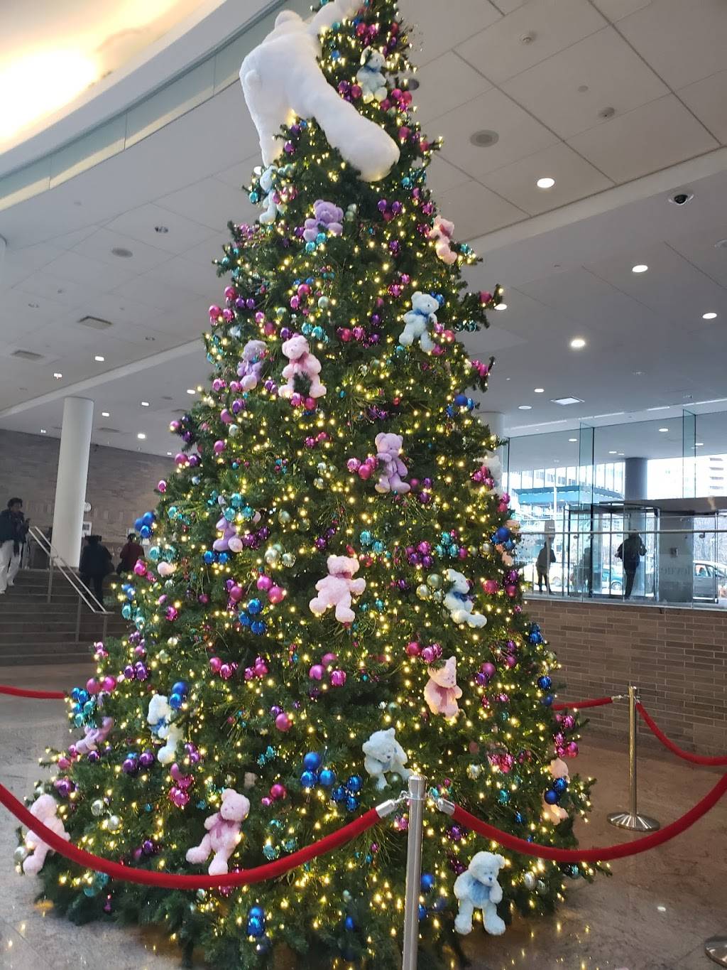 McDonalds | cafe | 145 E 125th St, New York, NY 10035, USA | 6466721381 OR +1 646-672-1381