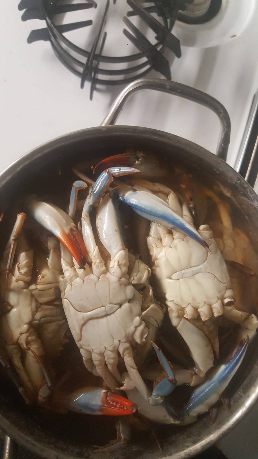 Phillys House of Cheesesteaks | restaurant | 3842 Rivers Ave, North Charleston, SC 29405, USA | 8435541999 OR +1 843-554-1999