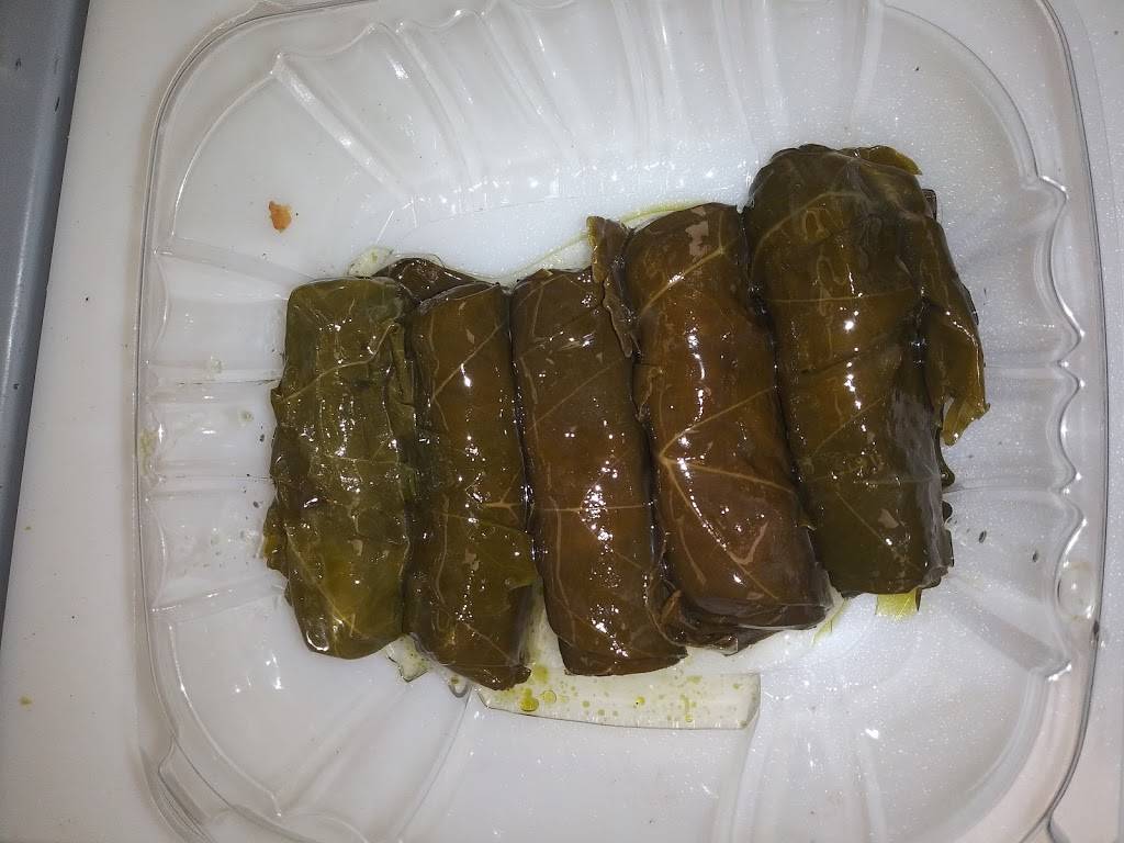 oasis restaurant | restaurant | 2531 Broadview Rd, Cleveland, OH 44109, USA | 2169650278 OR +1 216-965-0278