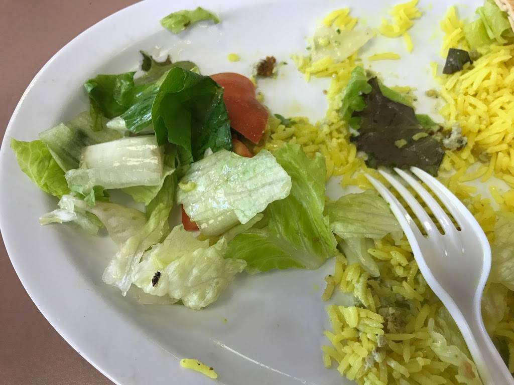 Robees Falafel | meal takeaway | 260 E Java Dr, Sunnyvale, CA 94089, USA | 4087457474 OR +1 408-745-7474