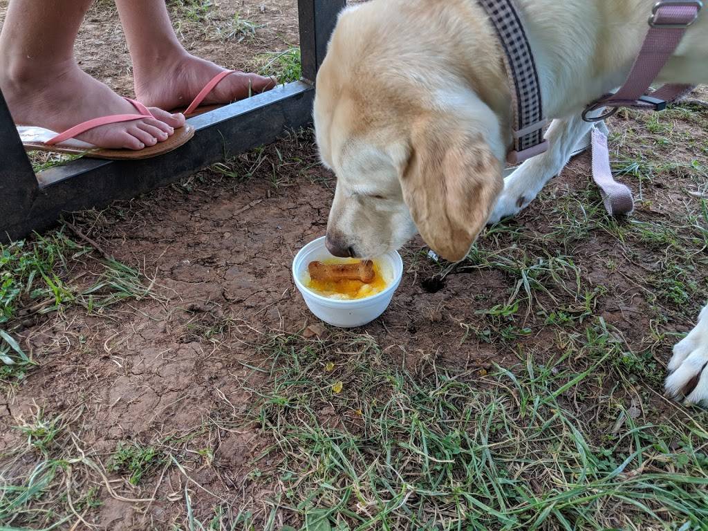 Pelicans Snowballs | restaurant | Marietta, GA 30066, USA | 6784946336 OR +1 678-494-6336