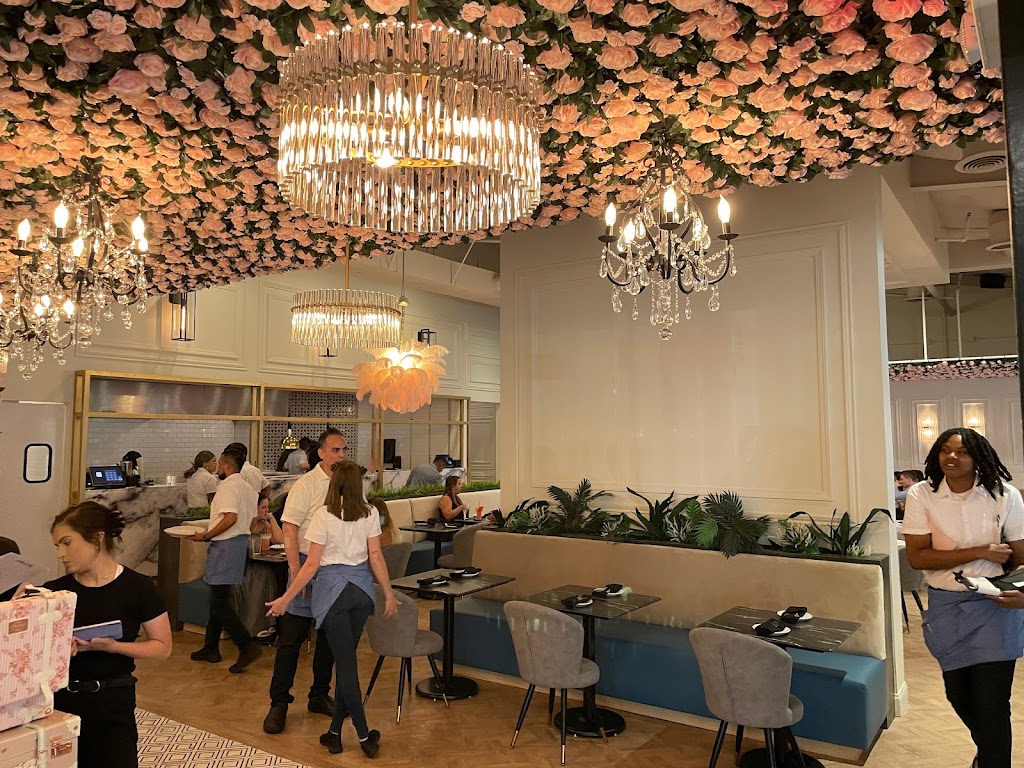 Lexys | restaurant | 3011 Gulden Ln #114, Dallas, TX 75212, USA | 2148334175 OR +1 214-833-4175