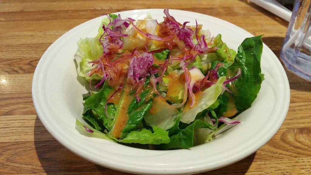 Curry House Japanese Curry & Spaghetti | restaurant | 3847, 123 Astronaut Ellison S Onizuka St, Los Angeles, CA 90012, USA | 2136200855 OR +1 213-620-0855