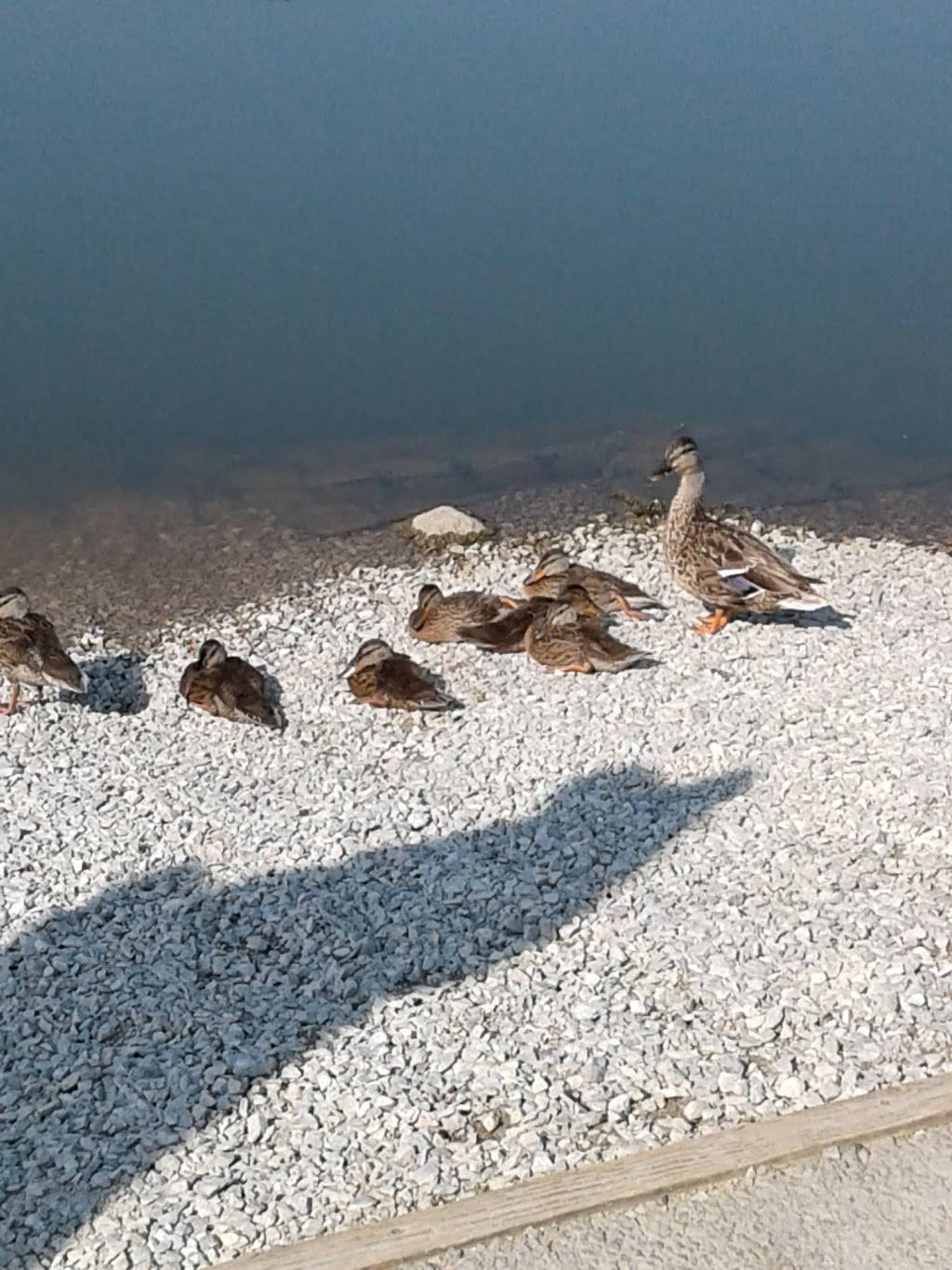 Winton Woods Snack Bar | meal takeaway | Cincinnati, OH 45218, USA | 5139311849 OR +1 513-931-1849