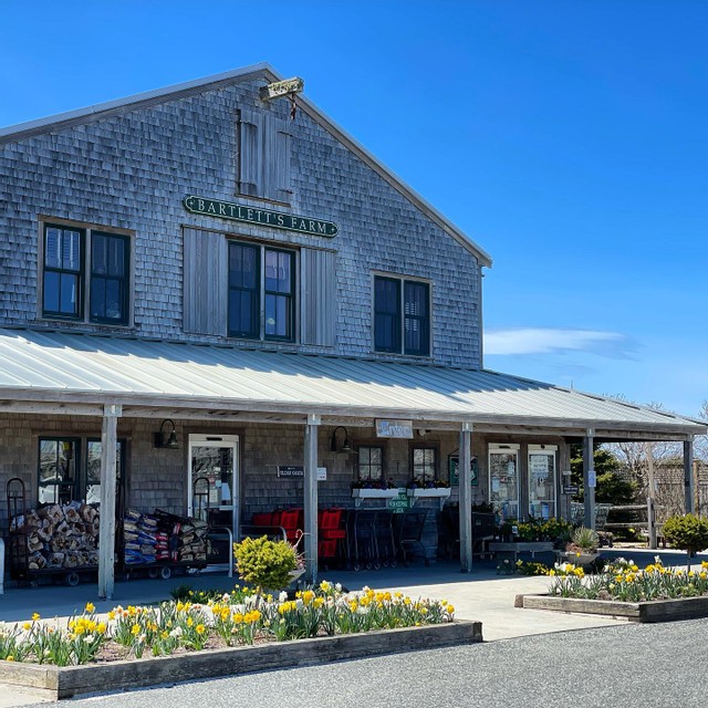Bartletts Farm | bakery | 33 Bartlett Farm Rd, Nantucket, MA 02554, USA | 5082289403 OR +1 508-228-9403