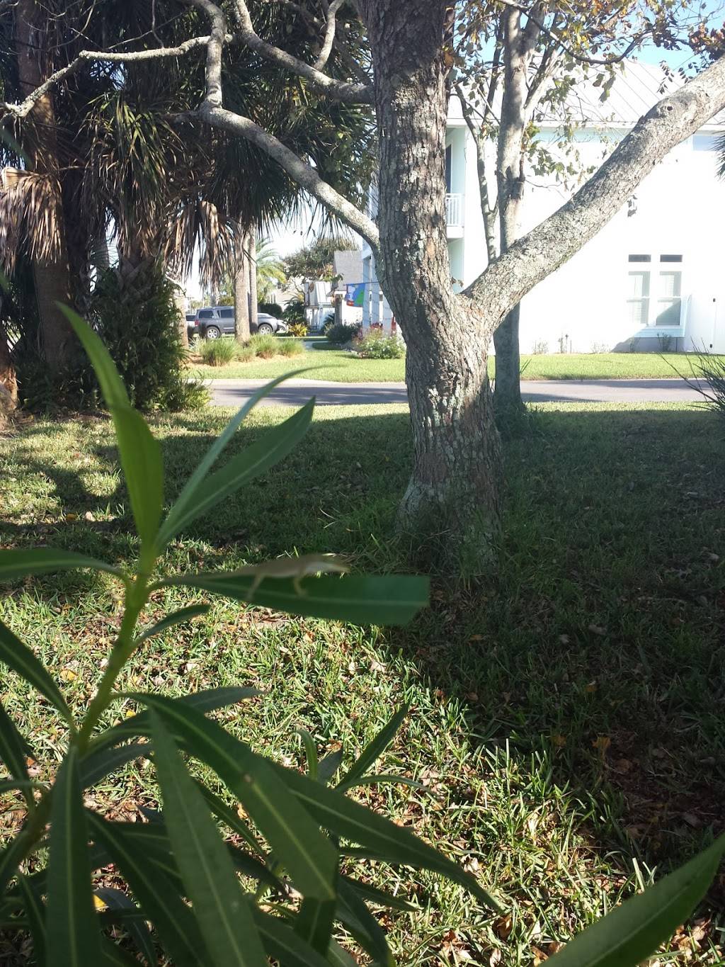 Subway Restaurants | restaurant | 1067 Beach Blvd, Jacksonville, FL 32250, USA | 9042470532 OR +1 904-247-0532