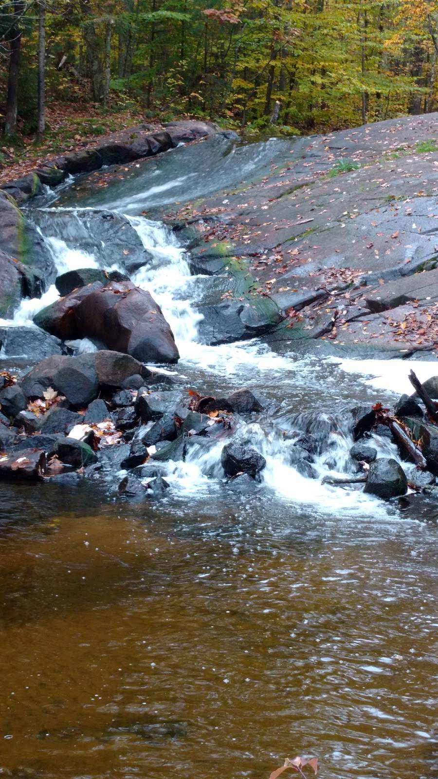 Chute Inn Family Restaurant | restaurant | 12550 WI-32, Suring, WI 54174, USA | 7152766266 OR +1 715-276-6266