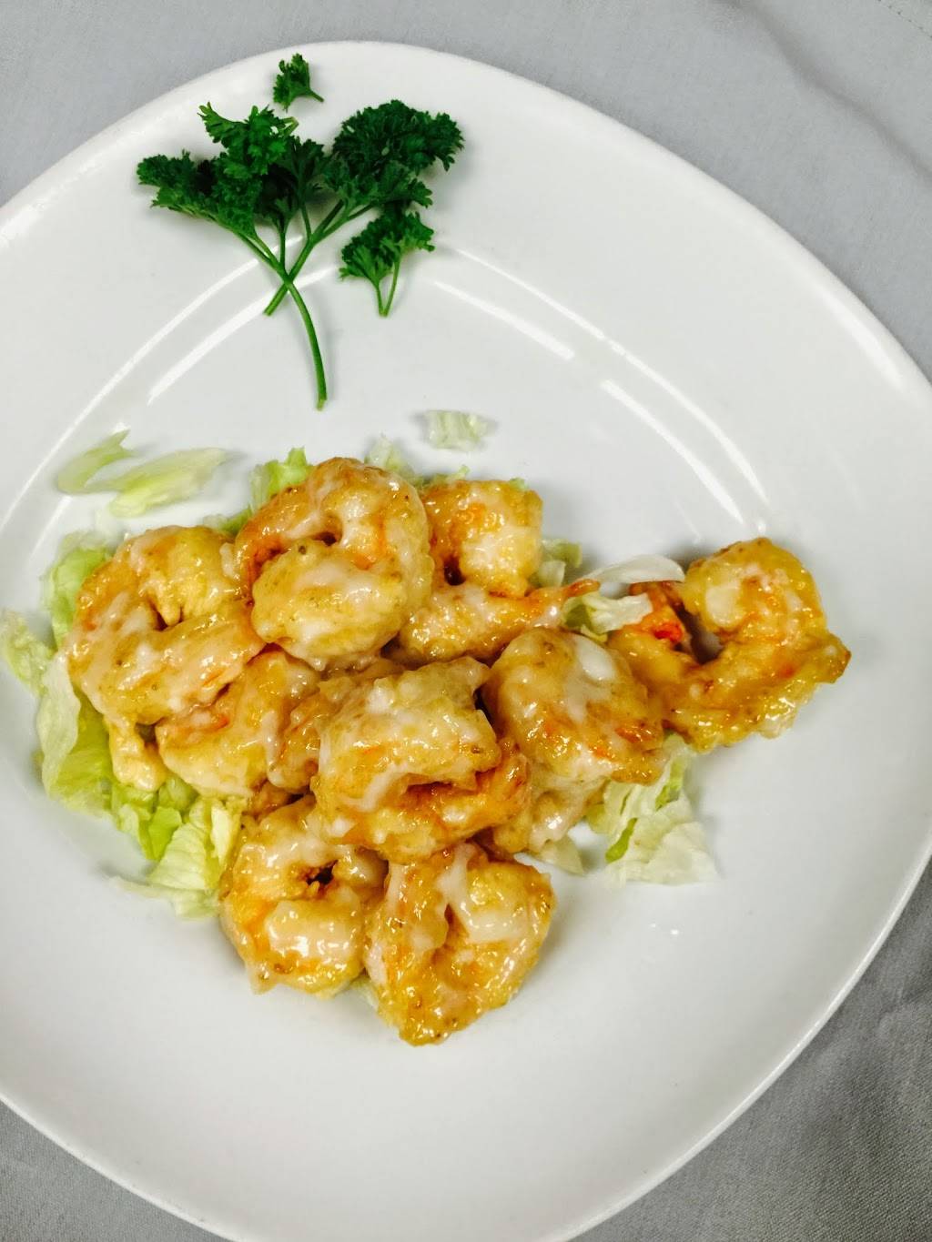 CHINA INN CAFE | restaurant | 8475 Hwy 6 N Suite A, Houston, TX 77095, USA | 8325936688 OR +1 832-593-6688