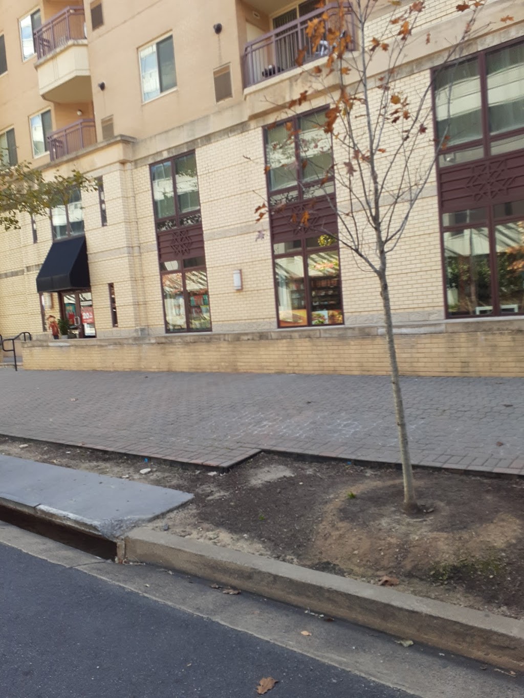 Court House Place & Gourmet | restaurant | 1320 N Veitch St # A, Arlington, VA 22201, USA | 7033510008 OR +1 703-351-0008