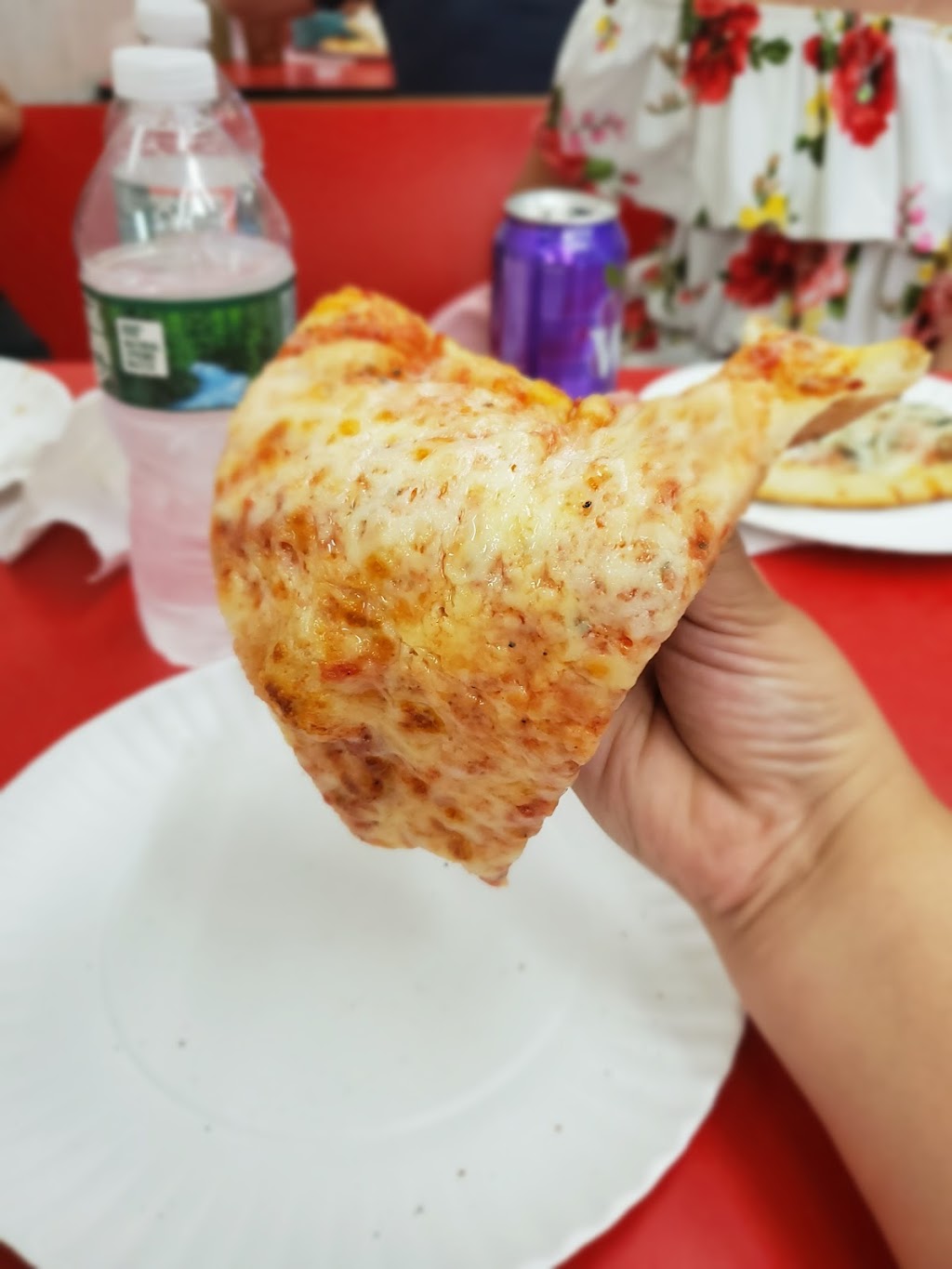 Fresh 99 cents pizza | restaurant | 51D Willoughby St, Brooklyn, NY 11201, USA | 7187973841 OR +1 718-797-3841