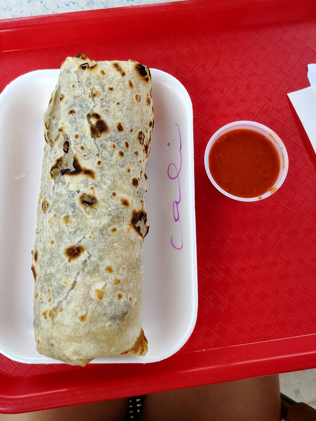 El Charro Mexican Food | restaurant | 2175 Avenida De La Playa, La Jolla, CA 92037, USA | 8584597900 OR +1 858-459-7900