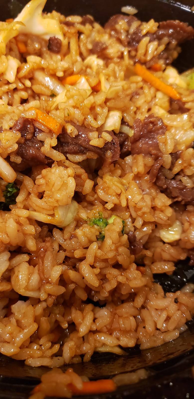 Teriyaki Madness | restaurant | 28152 Paseo Drive Unit 160, Wesley Chapel, FL 33543, USA | 8138033749 OR +1 813-803-3749