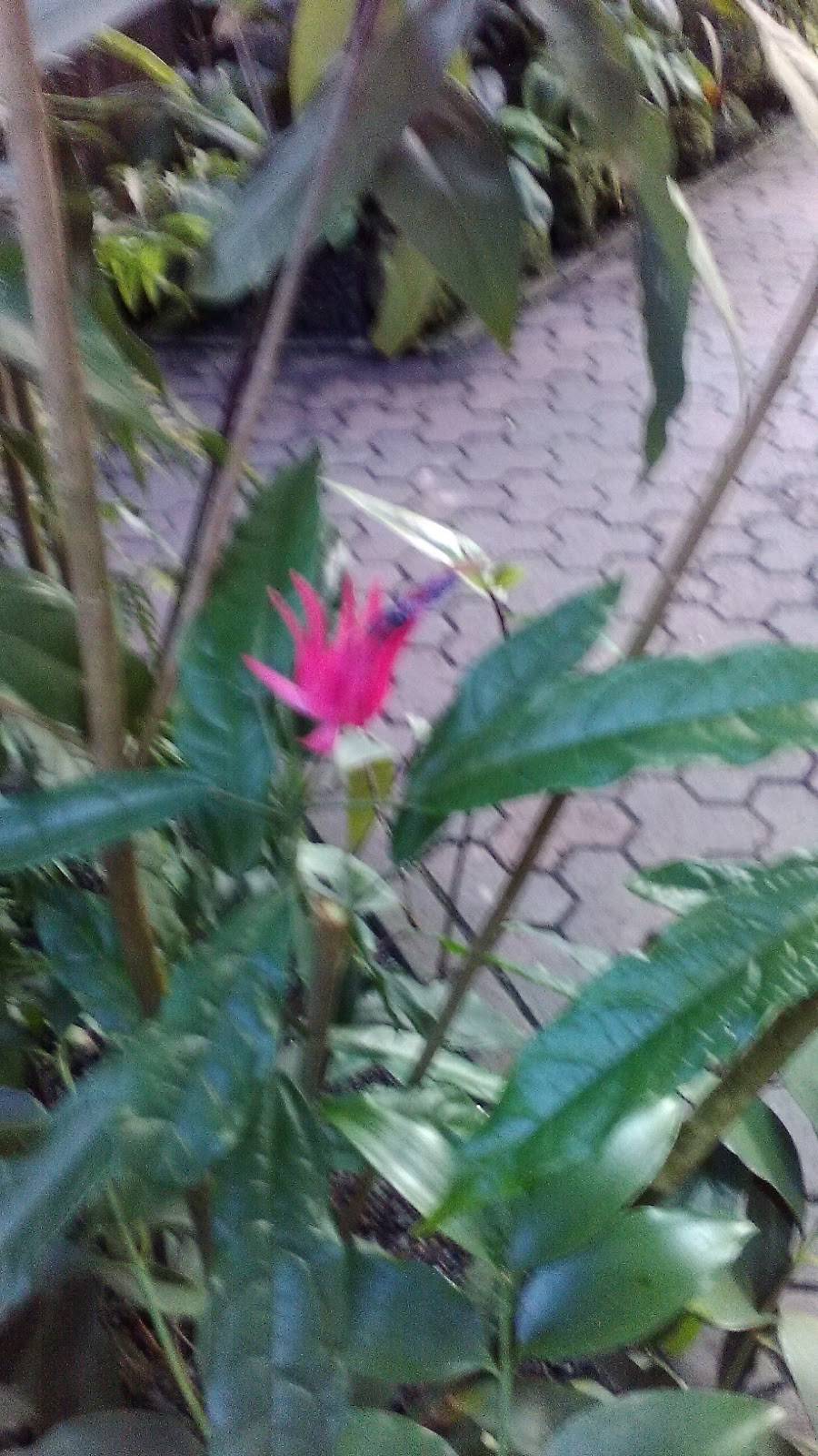 HomeTown Buffet | restaurant | 127 W Valley Blvd, Rialto, CA 92376, USA | 9094219688 OR +1 909-421-9688